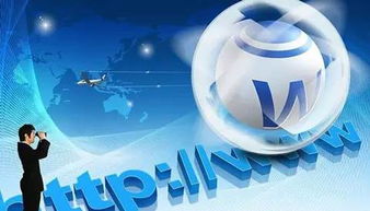 互聯(lián)網營銷的發(fā)展及應用與軟硬件的開發(fā)銷售